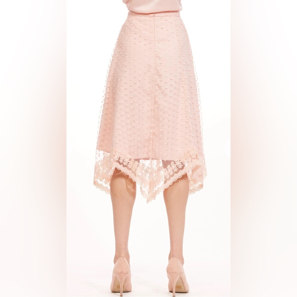Eva Franco Leriel Skirt NWT Pink Blushing Dot Tulle Asymmetrical Hem Lined 8 - Picture 2 of 8